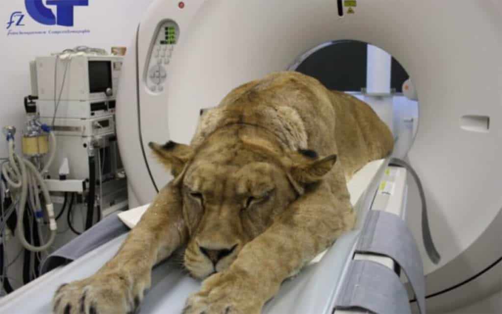 CT scan unstable trauma patients