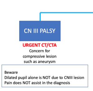 CN III Palsy