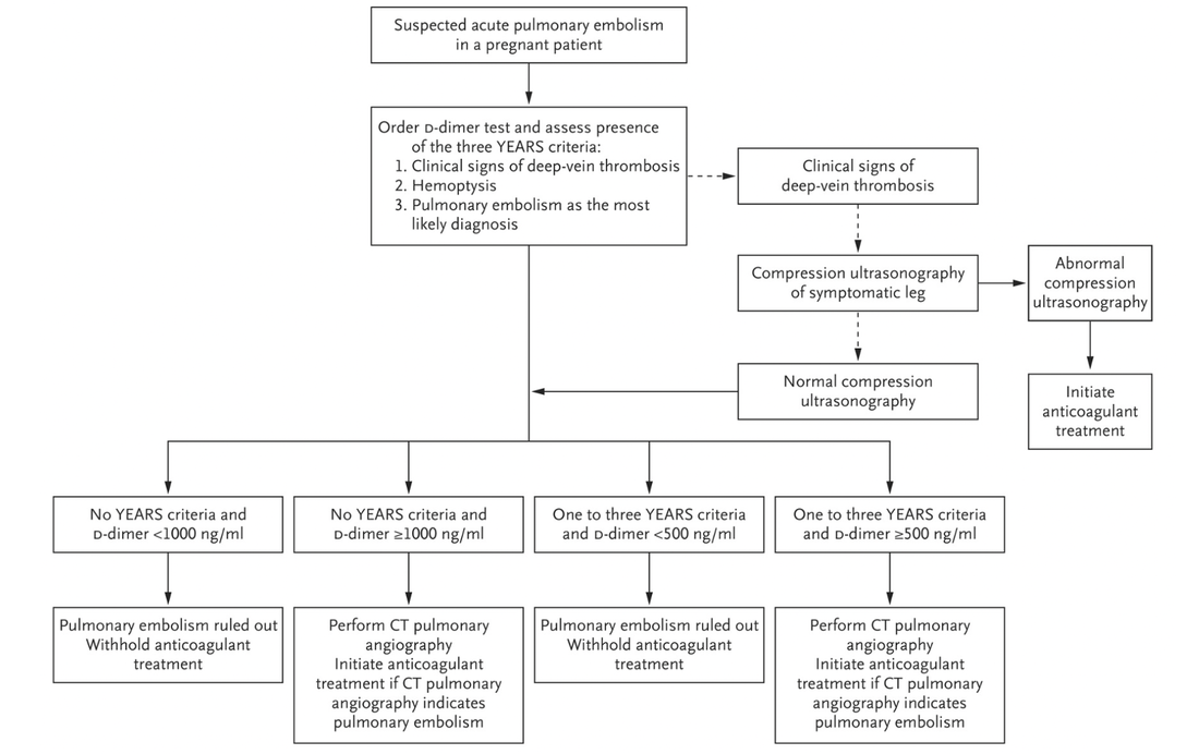 Pregnancy Adapted algorithm