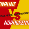Adrenaline vs Noradrenaline in post arrest hypotension