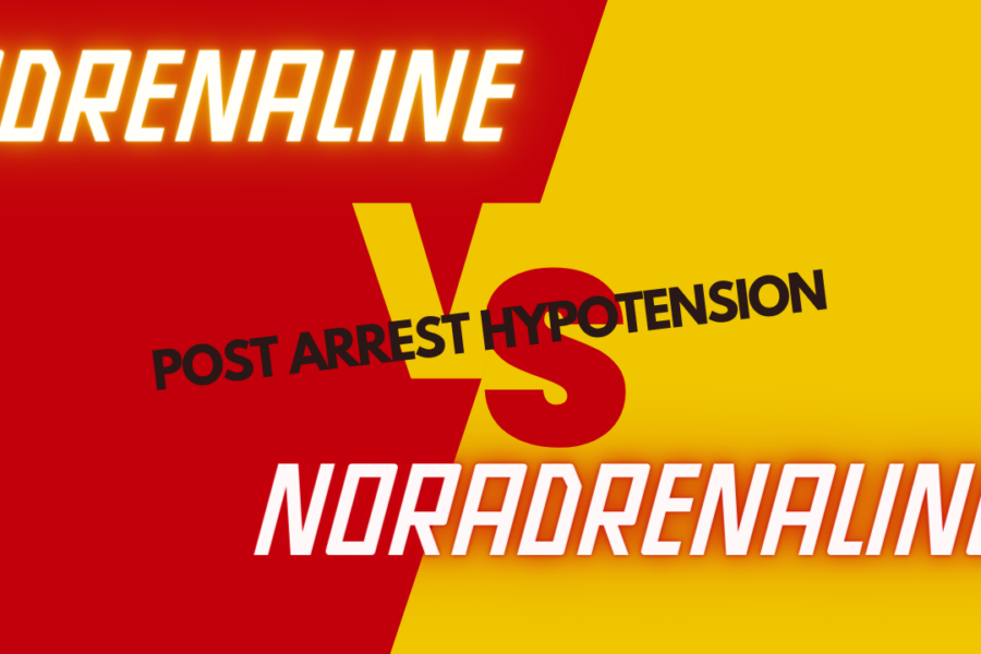 Adrenaline vs Noradrenaline in post arrest hypotension