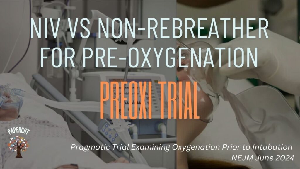 ceabd05-310c-2f4c-7a5-ffefa7dddca8_e9a64aea-b590-48b5-865e-9e827b1366f4