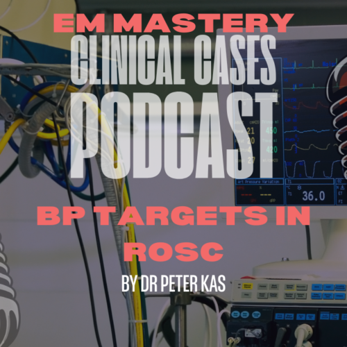 1bc44b-4cb6-0ab-f41c-782a00c33_templates-for-em-mastery-18