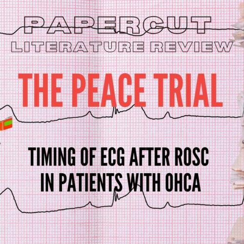 7eefce5-3067-f25d-32ac-1d1057a704f_20ade974-2cf3-468b-af38-25f831114988