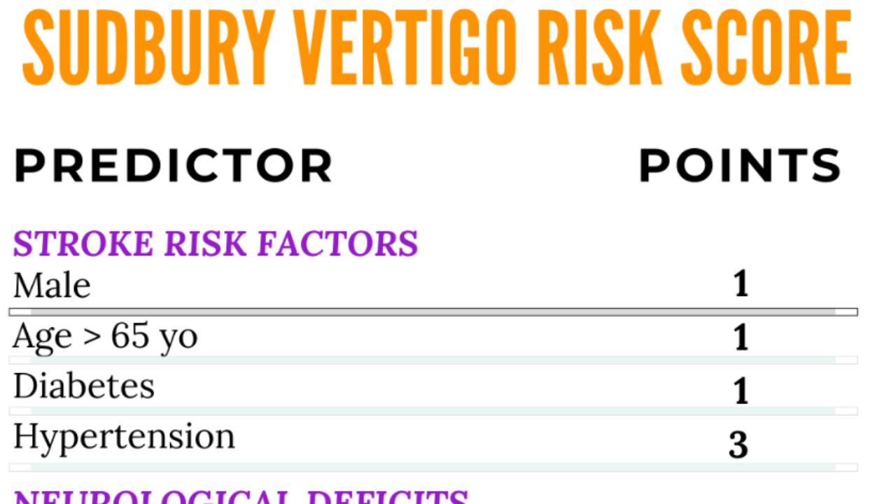 Sudbury Vertigo Risk Score Validation